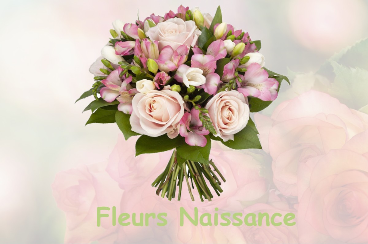 fleurs naissance FONTENILLES