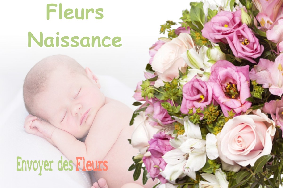 lIVRAISON FLEURS NAISSANCE à FONTENILLES