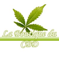 LA BOUTIQUE DU CBD FONTENILLES 